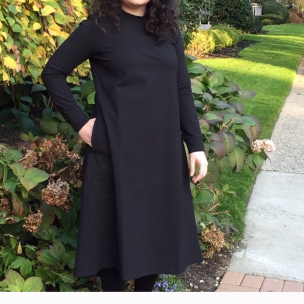 Modest Tznius Tunic Dress